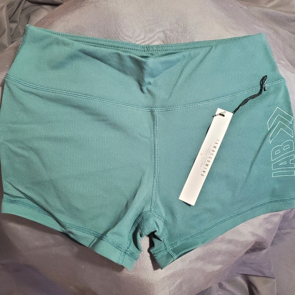 IAM|MFG. Shorts Small (6) teal